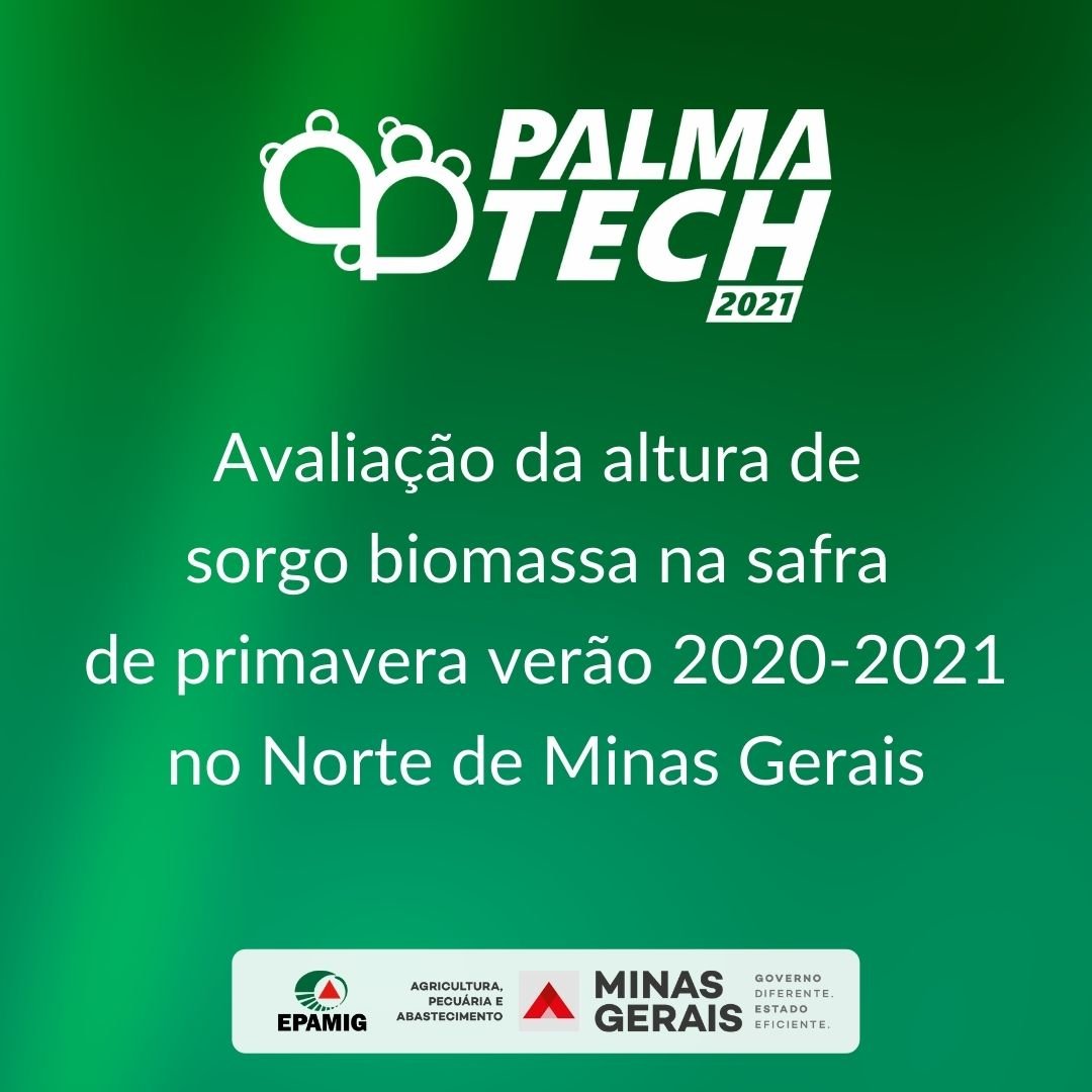 Avaliação da altura de sorgo biomassa na safra de primavera verão 2020- 2021 no Norte de MG