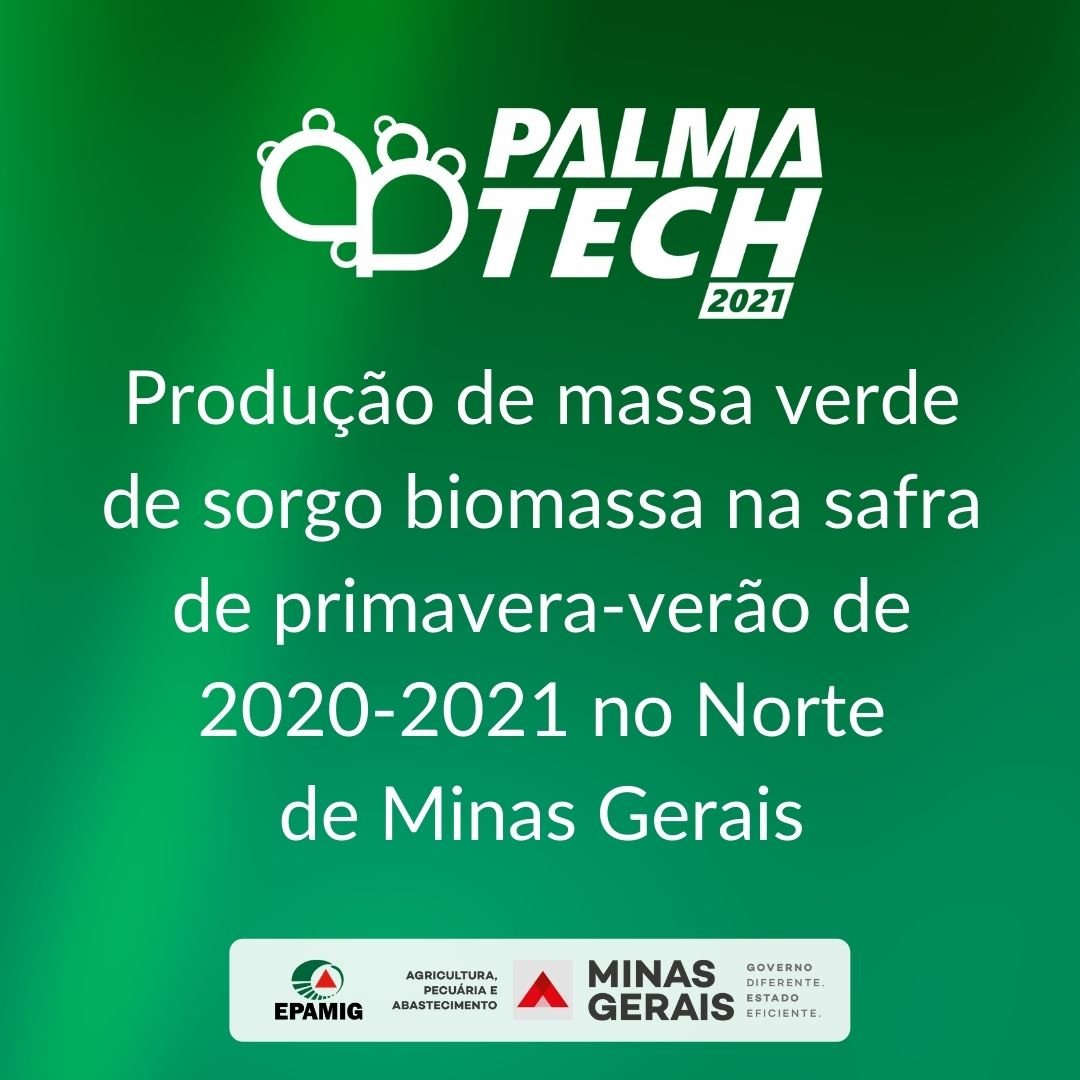 Produção de massa verde de sorgo biomassa na safra de primavera-verão de 2020-2021 no Norte de MG
